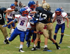 Enlarge photo 310