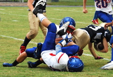 Enlarge photo 313
