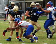 Enlarge photo 329