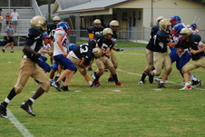 Enlarge photo 331