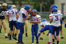 Enlarge photo 339