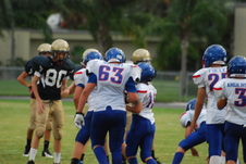 Enlarge photo 340