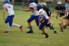 Enlarge photo 342