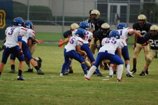 Enlarge photo 353