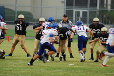 Enlarge photo 355