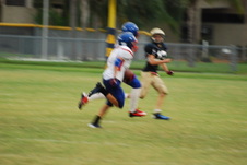 Enlarge photo 356