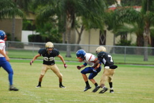 Enlarge photo 361
