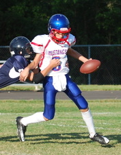 Enlarge photo 29