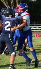 Enlarge photo 48