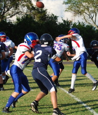 Enlarge photo 53