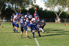 Enlarge photo 59