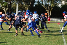 Enlarge photo 65