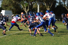 Enlarge photo 62