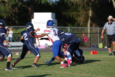 Enlarge photo 78