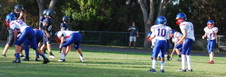 Enlarge photo 126