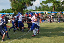 Enlarge photo 184