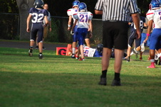 Enlarge photo 215