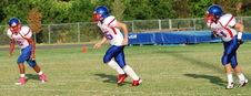 Enlarge photo 221