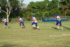 Enlarge photo 222