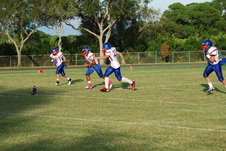 Enlarge photo 225