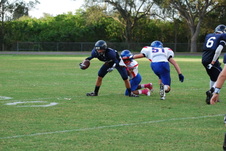Enlarge photo 231