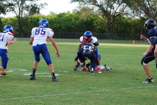 Enlarge photo 232