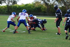 Enlarge photo 233