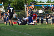 Enlarge photo 247