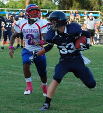 Enlarge photo 255