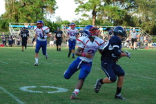 Enlarge photo 257