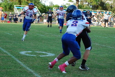 Enlarge photo 258