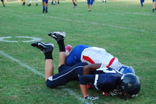 Enlarge photo 259