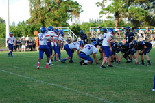 Enlarge photo 261