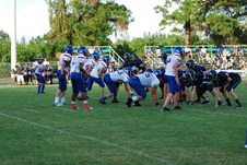 Enlarge photo 265