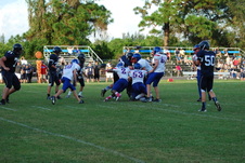 Enlarge photo 264