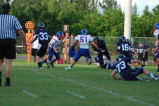 Enlarge photo 270