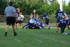 Enlarge photo 273