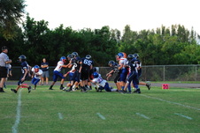 Enlarge photo 275