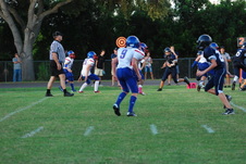 Enlarge photo 277