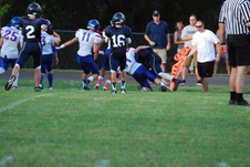 Enlarge photo 278