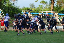 Enlarge photo 317