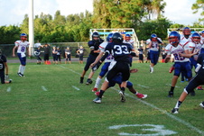 Enlarge photo 342