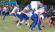 Enlarge photo 378