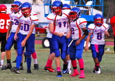 Enlarge photo 51