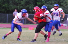 Enlarge photo 59