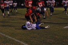 Enlarge photo 238