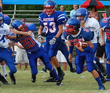 Enlarge photo 445