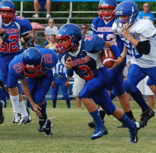 Enlarge photo 443