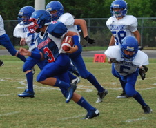 Enlarge photo 447