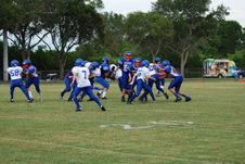Enlarge photo 459
